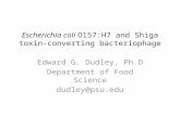 Escherichia coli O157:H7 and Shiga toxin-converting bacteriophage Edward G. Dudley, Ph.D Department of Food Science dudley@psu.edu.