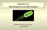 Update on Meningococcal Meningitis Health Protection Team April 2014.