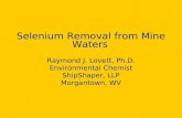 Selenium Removal from Mine Waters Raymond J. Lovett, Ph.D. Environmental Chemist ShipShaper, LLP Morgantown, WV.