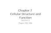 Chapter 7 Cellular Structure and Function Section 1 Pages 182-186.