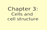 Chapter 3: Cells and cell structure. Cells A cell is the smallest unit of life. Each cell is alive and has all of the characteristics of life. Cytology.
