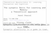Strong claim: Synaptic plasticity is the only game in town. Weak Claim: Synaptic plasticity is a game in town. Theoretical Neuroscience II: Learning, Perception.