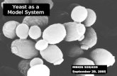 Yeast as a Model System MBIOS 520/420 September 29, 2005.