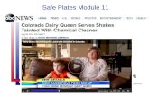 Safe Plates Module 11. Learning Objectives Identify sources of physical and chemical contamination Describe threats of deliberate contamination Discuss.
