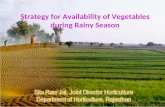 Strategy for Availability of Vegetables during Rainy Season.