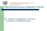 Disability Rights Promotion International- Canada Monitoring Disability Rights in Canada SSHRC funded project 1 Monitoring Survey datasets Theme By : Patrick.