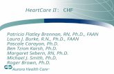 HeartCare II: CHF Patricia Flatley Brennan, RN, Ph.D., FAAN Laura J. Burke, R.N., Ph.D., FAAN Pascale Carayon, Ph.D. Ben Tzion Karsh, Ph.D. Margaret Sebern,