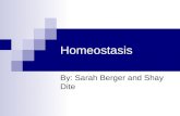 Homeostasis By: Sarah Berger and Shay Dite. What is Homeostasis? Homeostasis is the maintenance of a stable environment. It prevents us from getting sick.