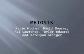 Katie Hughes, David Suarez, Abi Lawrence, Taylor Edwards and Katelynn Granger.