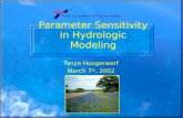 Parameter Sensitivity in Hydrologic Modeling Tanya Hoogerwerf March 7 th, 2002.