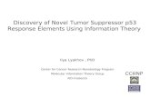 CCRNP Discovery of Novel Tumor Suppressor p53 Response Elements Using Information Theory Ilya Lyakhov, PhD Center for Cancer Research Nanobiology Program.