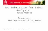 James Cunha Wernerjamwer@hep.man.ac.uk Job Submission for Babar Analysis James Werner Resources: .