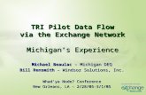 TRI Pilot Data Flow via the Exchange Network Michigan’s Experience Michael Beaulac – Michigan DEQ Bill Rensmith – Windsor Solutions, Inc. Whad’ya Node?