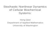 Stochastic Nonlinear Dynamics of Cellular Biochemical Systems: Hong Qian Department of Applied Mathematics University of Washington.