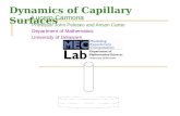 Dynamics of Capillary Surfaces Lucero Carmona Professor John Pelesko and Anson Carter Department of Mathematics University of Delaware.