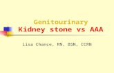 Genitourinary Kidney stone vs AAA Lisa Chance, RN, BSN, CCRN.