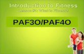 PAF3O/PAF4O. Read the beginnings of these sentences. Finish the thought with your own opinion. Being fit means …. Being overweight means …. Being lean.
