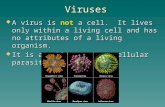 Viruses  A virus is not a cell. It lives only within a living cell and has no attributes of a living organism.  It is an obligate intracellular parasite.