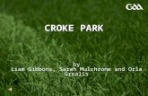 CROKE PARK by Liam Gibbons, Sarah Mulchrone and Orla Grealis.