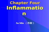 Chapter Four Inflammation Su Min （苏敏）. Definition: Inflammation is the protect response of living tissue which developed blood system to injury. It involves-