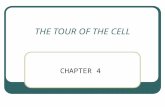 THE TOUR OF THE CELL CHAPTER 4. Cell Theory 1) Every organism is composed of one or more cells 2) Cell is smallest unit having properties of life (movement,