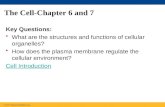 The Cell-Chapter 6 and 7 Key Questions: What are the structures and functions of cellular organelles? How does the plasma membrane regulate the cellular.