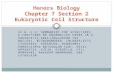 SC B -2.2: SUMMARIZE THE STRUCTURES & FUNCTIONS OF ORGANELLES FOUND IN A EUKARYOTIC CELL(INCLUDING THE NUCLEUS, MITOCHONDRIA, CHLOROPLASTS, LYSOSOMES,