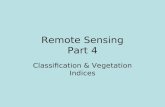 Remote Sensing Part 4 Classification & Vegetation Indices.