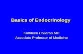 Basics of Endocrinology Kathleen Colleran MD Associate Professor of Medicine.