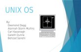 UNIX OS By: Desmond Dagg Alannah Storm Mullins Carl Kavanagh Gareth Dunne Behzad Sanehi.