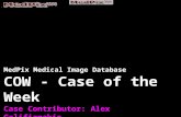 MedPix Medical Image Database COW - Case of the Week Case Contributor: Alex Galifianakis Affiliation: Uniformed Services University.