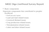 NBDC Diga Livelihood Survey Report Basic components Important components that contributed to peoples livelihood – Food security issues – Land and land.