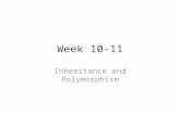 Week 10-11 Inheritance and Polymorphism. Introduction Classes allow you to modify a program without really making changes to it. To elaborate, by subclassing.