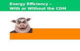 Energy Efficiency – With or Without the CDM. Why Energy Efficiency? Renewables Nuclear Fuel switch End-use energy efficiency.