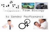 Atypical: From Biology to Gender Performance. Quick Review Gender Identity / SexGender Roles / Performance Sexual Orientation.