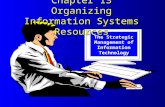 The Strategic Management of Information Technology Chapter 13 Organizing Information Systems Resources.