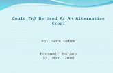 By: Sene Gebre Economic Botany 13, Mar. 2008 Could Teff Be Used As An Alternative Crop?