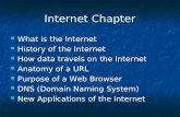 Internet Chapter What is the Internet What is the Internet History of the Internet History of the Internet How data travels on the Internet How data travels.