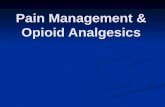 Pain Management & Opioid Analgesics. Objectives Determine proper opioid dosing Determine proper opioid dosing Differentiate between specific opioid analgesics.