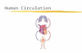Human Circulation. The Need for Circulation zAll living things must be able to supply their cells with materials from the surrounding environment (Ex.