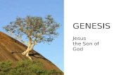 GENESIS Jesus the Son of God. Jesus the Son of God.