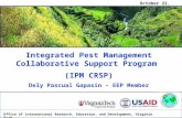 October 22, 2012 Integrated Pest Management Collaborative Support Program (IPM CRSP) Dely Pascual Gapasin – EEP Member Office of International Research,