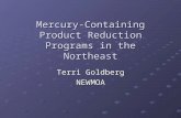 Mercury-Containing Product Reduction Programs in the Northeast Terri Goldberg NEWMOA.
