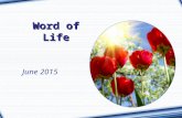 Word of Life June 2015 “Martha, Martha, you are worried and distracted by many things; there is need of only one thing.” (Lk 10:41-42)