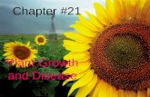 Chapter #21 Plant Growth and Disease. Chapter 21.1 Notes Plant growth happens at the root tips and stem tips. Plants only grow longer and taller.