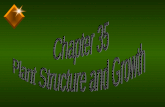 Chapter focus u Plant structure and growth u Warning – many terms or vocabulary words u Warning – many diagrams u Focus – structure, function, located.