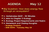 AGENDA May 12 Big Question: How does energy flow through an ecosystem? Big Question: How does energy flow through an ecosystem? 1. Vertebrates QUIZ – 30.