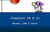 Chapters 10 & 11 Mendel, DNA & Genes Professor E. U. Gene.