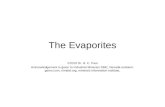 The Evaporites ©2010 Dr. B. C. Paul Acknowledgement is given to Industrial Minerals SME, Nevada-outback- gems.com, mindat.org, minerals information institute,