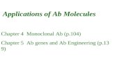 Applications of Ab Molecules Chapter 4 Monoclonal Ab (p.104) Chapter 5 Ab genes and Ab Engineering (p.139)
